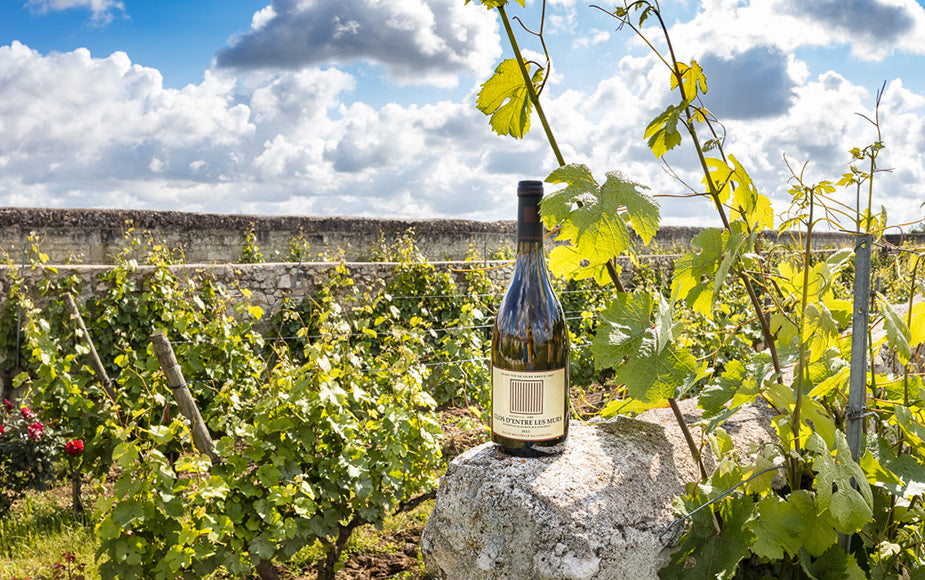 Château de Parnay Clos d'Entre les Murs Saumur Blanc 2018 BIO, 75 cl