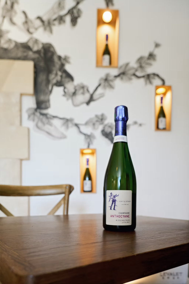 Champagne Anthocyane Point de Départ Extra-Brut 75 cl