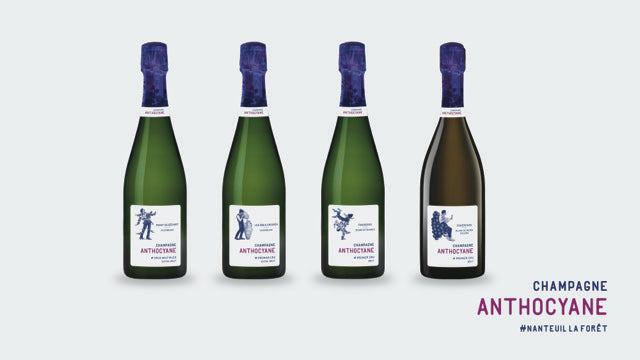 Champagne Anthocyane Cohérence Blanc de Noirs Solera Premier Cru, 75 cl